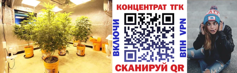 ТГК THC oil  площадка формула  Светлогорск  hydra зеркало 